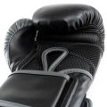 Everlast Powerlock 2r
