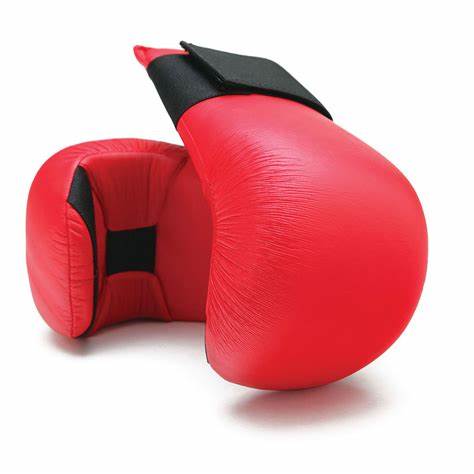 Kumite handschoenen
